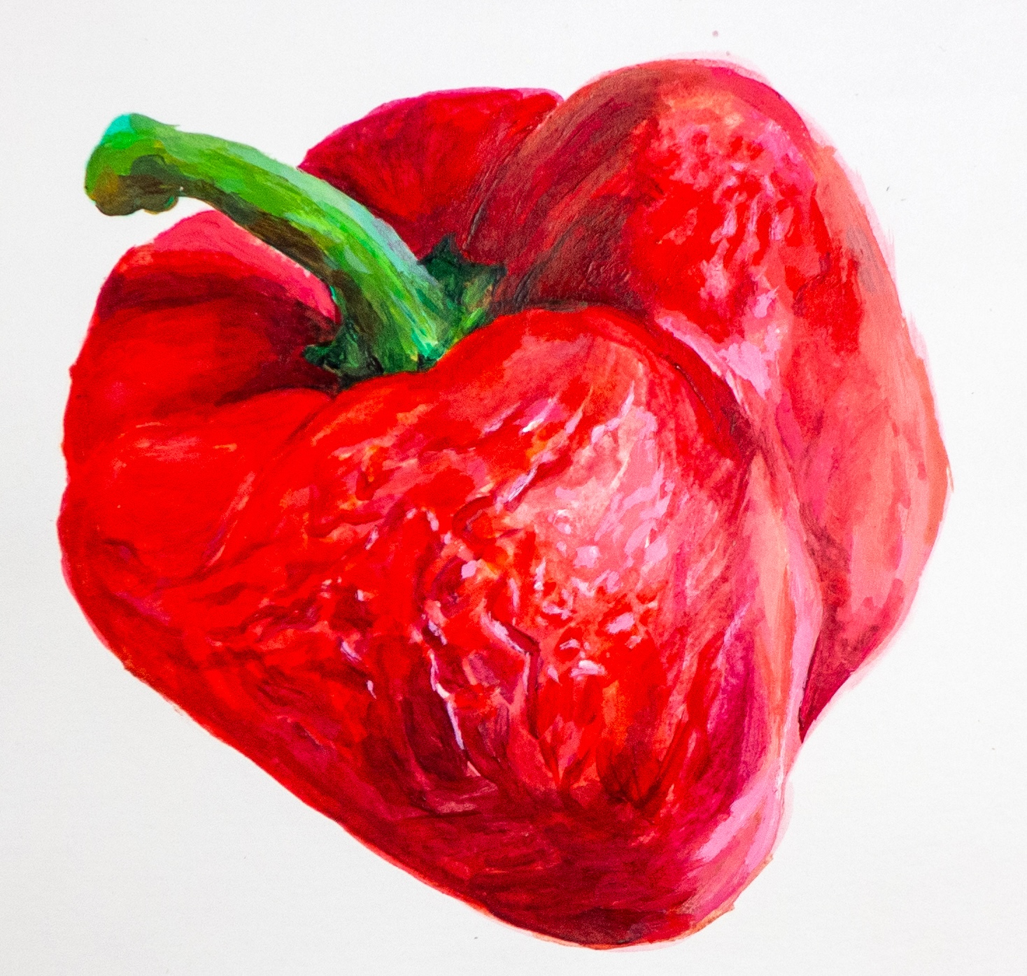 Pepper. Still life in acyrlic.