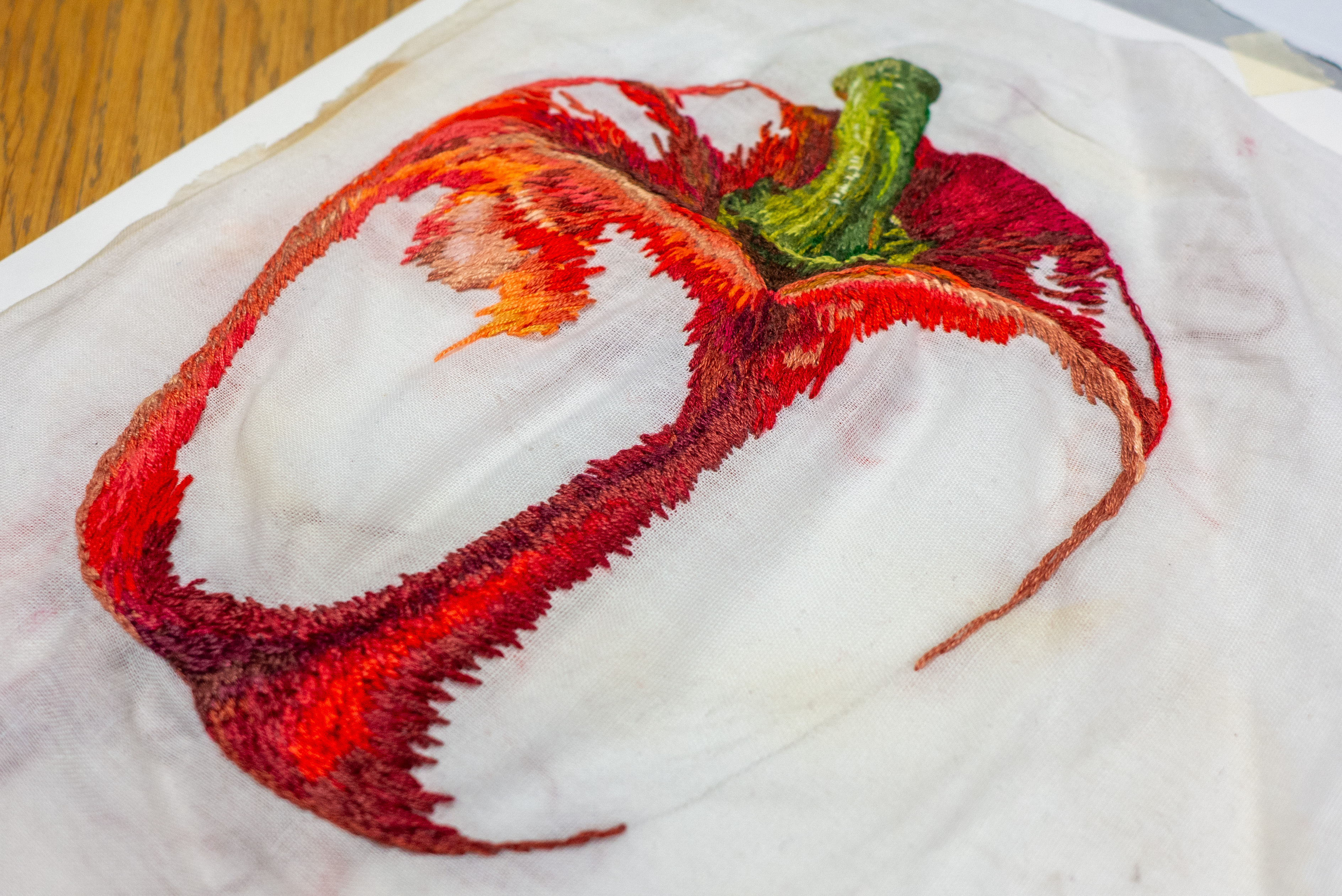 Embroidered Pepper study.