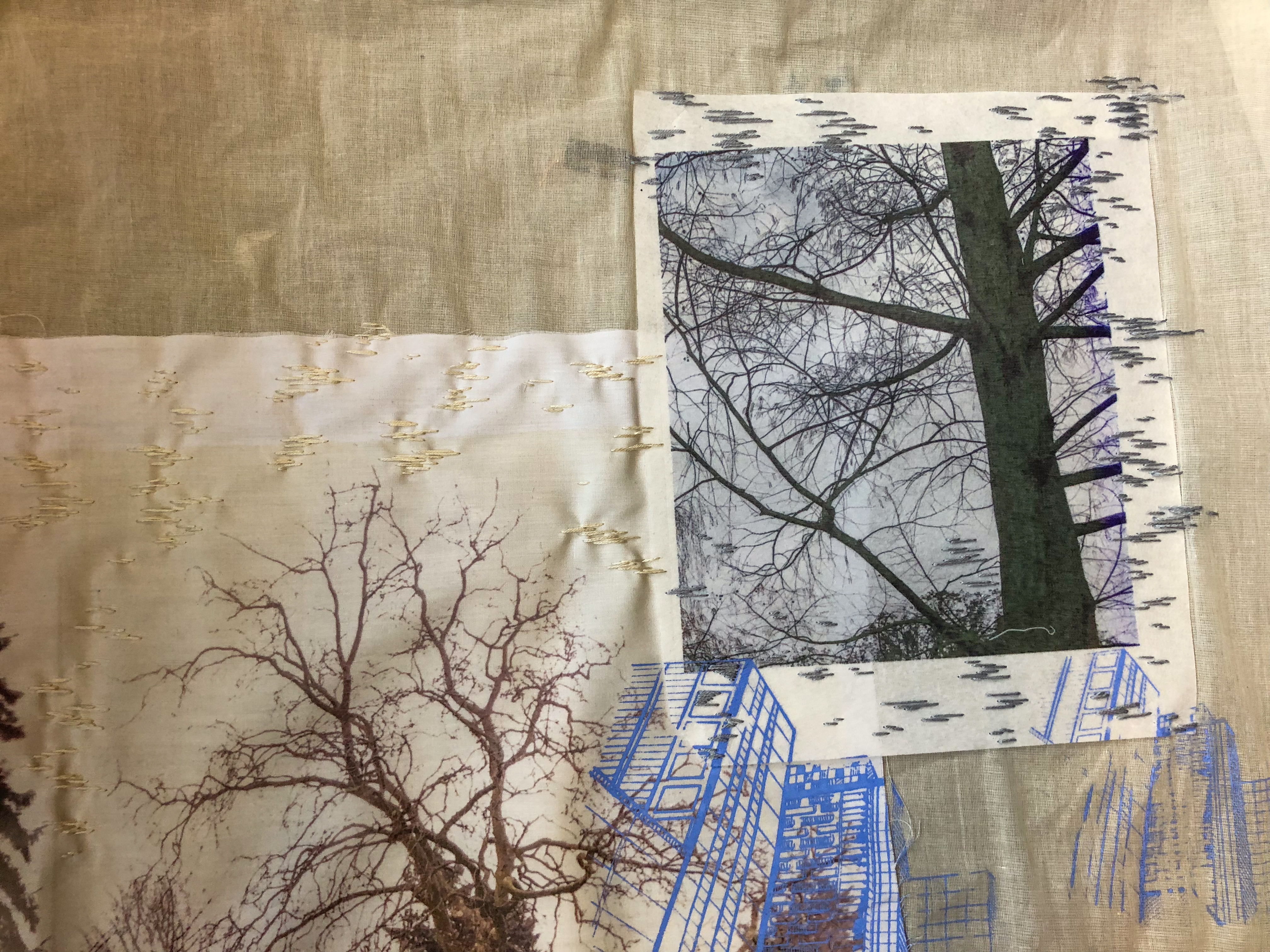 Trees and buildings